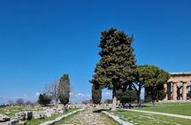 Full Day Private Tour-Temples of Paestum and Ruins of Pompeii