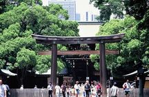 Private Full-day Tokyo Walking Subway Tour by Japan Gray Line