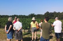 Half-day in the Médoc : 2 wineries & 6 wines