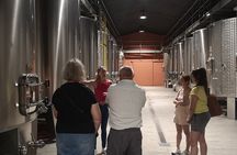 Half-day in the Médoc : 2 wineries & 6 wines