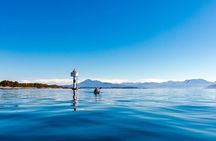 Kayak tour in Molde