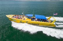 Sea Screamer Cruise - 2 Hour Dolphin Watch Tour in South Carolina