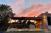 Naxos: Private Traditional Dining in the Olive Grove