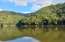 Healing Guided Nature Experience and Waterfall Brunch in Jamaica
