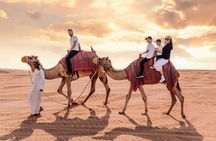 Dubai Desert Safari, BBQ, Live Shows, Camel, Sandboard (7-Hours)