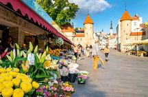 Best of Tallinn Private Tour