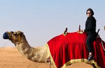Dubai: Morning Quad bike & Safari Adventure , Sandboarding, camel