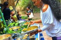 Healing Guided Nature Experience and Waterfall Brunch in Jamaica