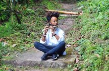 Healing Guided Nature Experience and Waterfall Brunch in Jamaica