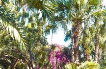Majorelle Garden Experience: Ticket And Hassle-Free Transfers