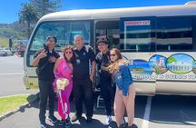 TAURANGA City & Scenic Sightseeing 2-hour Local Bus Tour