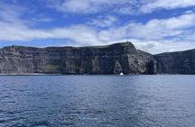 Private Chauffeur Cliffs of Moher Tour & Galway from Dublin 