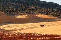 UTV Ride Climb and Rappel "Window to the Dunes" Experience 