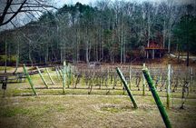 Elijay Hike w/ Waterfall & Wine Tasting Private Tour from ATL
