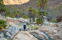 Hidden Gems of Sierra Laguna: El Triunfo and Natural Springs.