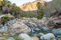 Hidden Gems of Sierra Laguna: El Triunfo and Natural Springs.