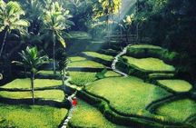 Private Customized Tour with Local Guide 