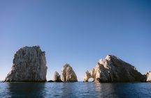 Educational Sunrise Whale Watching with Photos Included