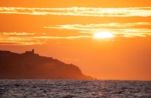 Educational Sunrise Whale Watching with Photos Included