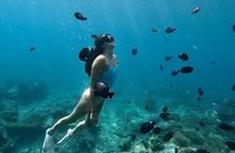 Private Customized Tour with Local Guide 