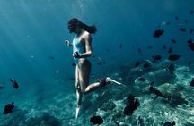 Private Customized Tour with Local Guide 