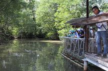 Can Gio Mangrove Forest Island Private Tour From Ho Chi Minh City