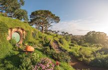 Hobbiton, Waitomo Caves and Kiwi House Day Tour From Auckland