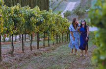 Wine Tasting Tour of Temecula Valley