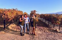 Wine Tasting Tour of Temecula Valley