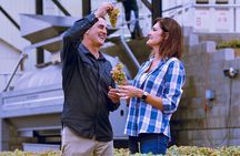 Wine Tasting Tour of Temecula Valley