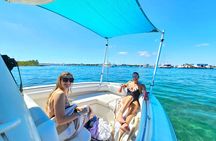 3hr Sightseeing Tour and Peanut Island Sandbar Tour