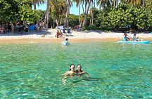 3hr Sightseeing Tour and Peanut Island Sandbar Tour