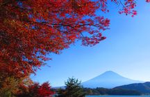Mt Fuji Views, Fruit Picking and Ropeway Experience Day Tour