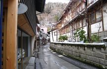 Snow Monkey & Shibu Onsen Afternoon Tour (Depart: Iiyama & Nozwa)