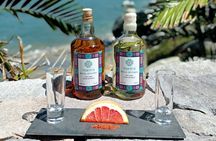 Private Lucha Libre tour + Mezcal or Mexican candy/snacks tasting