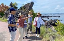 Exploring Sakurajima's History Half Day Walking Tour in Kagoshima