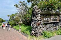 Exploring Sakurajima's History Half Day Walking Tour in Kagoshima