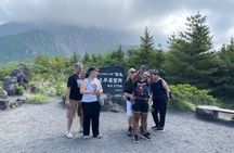 Exploring Sakurajima's History Half Day Walking Tour in Kagoshima