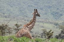 Private 5 Days Camping Tour in Serengeti National Park 