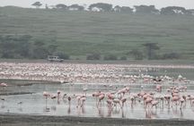 Private 5 Days Camping Tour in Serengeti National Park 
