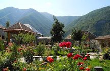 Sheki Cultural and Historical Shared Tour