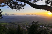 Volterra Tour + Salt Mine by van from Lucca, Pisa or Livorno Port