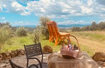 Maliosa Natural Picnic