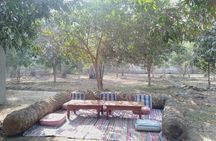 Private Dahshur Tour To Pyramids and Egyptian Farmland with Lunch