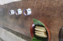 Arenal volcano sloths + waterfall hike+ Coffee-chocolate tour 