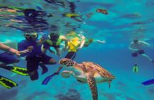Swim with Turtles at Turtle Bay, Curacao: Boat, Blue Room Cave
