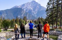 Year Round Tour: Banff and its Wildlife