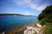 Guided Speedboat Tour with Food, Oil & Wine Tasting