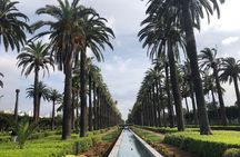 Casablanca and Morocco Shared Walking Tour with Licensed Guide