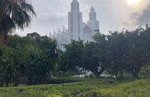 Casablanca and Morocco Shared Walking Tour with Licensed Guide